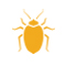 Bed Bugs Pest Control Dubai